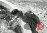 Standbild Schweinswal Marineland Florida USA, 1951, aus Sekunde 58 historischem Filmmaterial Videoclip 65675065088