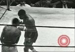 Immagine di Orientale guanti d'oro Campionato New York City USA, 1951, secondo 20 filmato di repertorio 65675065091