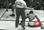 Immagine di Orientale guanti d'oro Campionato New York City USA, 1951, secondo 26 filmato di repertorio 65675065091