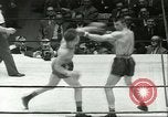 Immagine di Orientale guanti d'oro Campionato New York City USA, 1951, secondo 43 filmato di repertorio 65675065091
