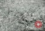 Standbild amerikanische Truppen Korea, 1951, aus Sekunde 12 historischem Filmmaterial Videoclip 65675065093