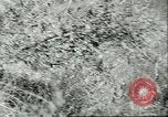 Standbild amerikanische Truppen Korea, 1951, aus Sekunde 13 historischem Filmmaterial Videoclip 65675065093