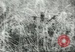 Standbild amerikanische Truppen Korea, 1951, aus Sekunde 57 historischem Filmmaterial Videoclip 65675065093