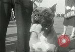 Immagine di I marinai americani California United States USA, 1951, secondo 26 filmato di repertorio 65675065096