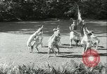 Immagine di I ginnasti danese Germania, 1951, secondo 13 filmato di repertorio 65675065097
