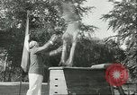 Immagine di I ginnasti danese Germania, 1951, secondo 24 filmato di repertorio 65675065097