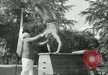Immagine di I ginnasti danese Germania, 1951, secondo 25 filmato di repertorio 65675065097