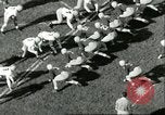 Immagine di Partita di calcio Seattle Washington USA, 1951, secondo 41 filmato di repertorio 65675065098