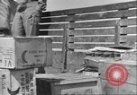 Immagine di Soldati afro-americani in Italia seconda guerra mondiale Anzio Italia, 1944, secondo 9 filmato di repertorio 65675065099