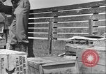 Immagine di Soldati afro-americani in Italia seconda guerra mondiale Anzio Italia, 1944, secondo 15 filmato di repertorio 65675065099