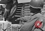 Immagine di Soldati afro-americani in Italia seconda guerra mondiale Anzio Italia, 1944, secondo 16 filmato di repertorio 65675065099