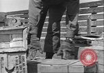 Immagine di Soldati afro-americani in Italia seconda guerra mondiale Anzio Italia, 1944, secondo 20 filmato di repertorio 65675065099