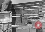 Immagine di Soldati afro-americani in Italia seconda guerra mondiale Anzio Italia, 1944, secondo 23 filmato di repertorio 65675065099
