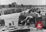 Image of African American soldiers working Anzio Italy, 1944, second 7 stock footage video 65675065100
