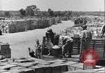 Image of African American soldiers working Anzio Italy, 1944, second 13 stock footage video 65675065100