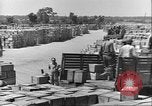 Image of African American soldiers working Anzio Italy, 1944, second 16 stock footage video 65675065100