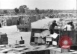 Image of African American soldiers working Anzio Italy, 1944, second 42 stock footage video 65675065100