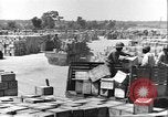 Image of African American soldiers working Anzio Italy, 1944, second 44 stock footage video 65675065100