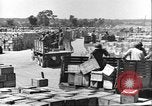 Image of African American soldiers working Anzio Italy, 1944, second 51 stock footage video 65675065100