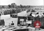 Image of African American soldiers working Anzio Italy, 1944, second 53 stock footage video 65675065100