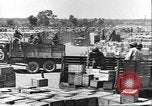 Image of African American soldiers working Anzio Italy, 1944, second 61 stock footage video 65675065100