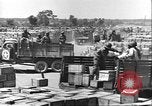 Image of African American soldiers working Anzio Italy, 1944, second 62 stock footage video 65675065100
