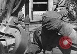 Image Soldats afro-américains soudeur Anzio Italie, 1944, de la seconde 57 séquences d'archives historiques vidéo 65675065101