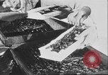 Image of Russian people Russia, 1930, second 9 stock footage video 65675065105