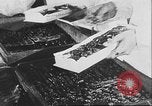 Image of Russian people Russia, 1930, second 11 stock footage video 65675065105