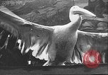 Image of Russian people Nizhny Novgorod Russia, 1930, second 22 stock footage video 65675065107