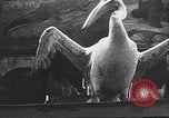 Image of Russian people Nizhny Novgorod Russia, 1930, second 25 stock footage video 65675065107