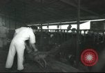 Image Mikvé Israël école agricole Palestine, 1945, de la seconde 8 séquences d'archives historiques vidéo 65675065125