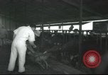 Image Mikvé Israël école agricole Palestine, 1945, de la seconde 9 séquences d'archives historiques vidéo 65675065125