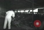 Image Mikvé Israël école agricole Palestine, 1945, de la seconde 10 séquences d'archives historiques vidéo 65675065125