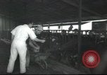 Image Mikvé Israël école agricole Palestine, 1945, de la seconde 11 séquences d'archives historiques vidéo 65675065125