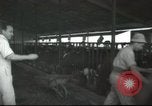 Image Mikvé Israël école agricole Palestine, 1945, de la seconde 13 séquences d'archives historiques vidéo 65675065125
