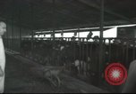 Image Mikvé Israël école agricole Palestine, 1945, de la seconde 14 séquences d'archives historiques vidéo 65675065125