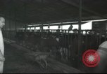 Image Mikvé Israël école agricole Palestine, 1945, de la seconde 15 séquences d'archives historiques vidéo 65675065125