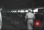 Image Mikvé Israël école agricole Palestine, 1945, de la seconde 16 séquences d'archives historiques vidéo 65675065125