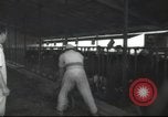 Image Mikvé Israël école agricole Palestine, 1945, de la seconde 17 séquences d'archives historiques vidéo 65675065125