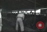 Image Mikvé Israël école agricole Palestine, 1945, de la seconde 19 séquences d'archives historiques vidéo 65675065125