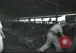 Image Mikvé Israël école agricole Palestine, 1945, de la seconde 20 séquences d'archives historiques vidéo 65675065125