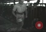 Image Mikvé Israël école agricole Palestine, 1945, de la seconde 21 séquences d'archives historiques vidéo 65675065125