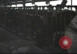 Image Mikvé Israël école agricole Palestine, 1945, de la seconde 22 séquences d'archives historiques vidéo 65675065125