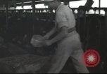 Image Mikvé Israël école agricole Palestine, 1945, de la seconde 25 séquences d'archives historiques vidéo 65675065125