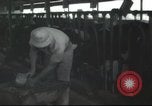 Image Mikvé Israël école agricole Palestine, 1945, de la seconde 26 séquences d'archives historiques vidéo 65675065125