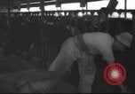Image Mikvé Israël école agricole Palestine, 1945, de la seconde 28 séquences d'archives historiques vidéo 65675065125