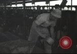 Image Mikvé Israël école agricole Palestine, 1945, de la seconde 29 séquences d'archives historiques vidéo 65675065125