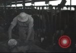 Image Mikvé Israël école agricole Palestine, 1945, de la seconde 30 séquences d'archives historiques vidéo 65675065125