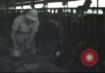 Image Mikvé Israël école agricole Palestine, 1945, de la seconde 31 séquences d'archives historiques vidéo 65675065125